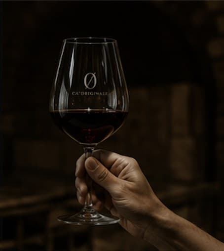 Speisen, Wein & Spirituosen