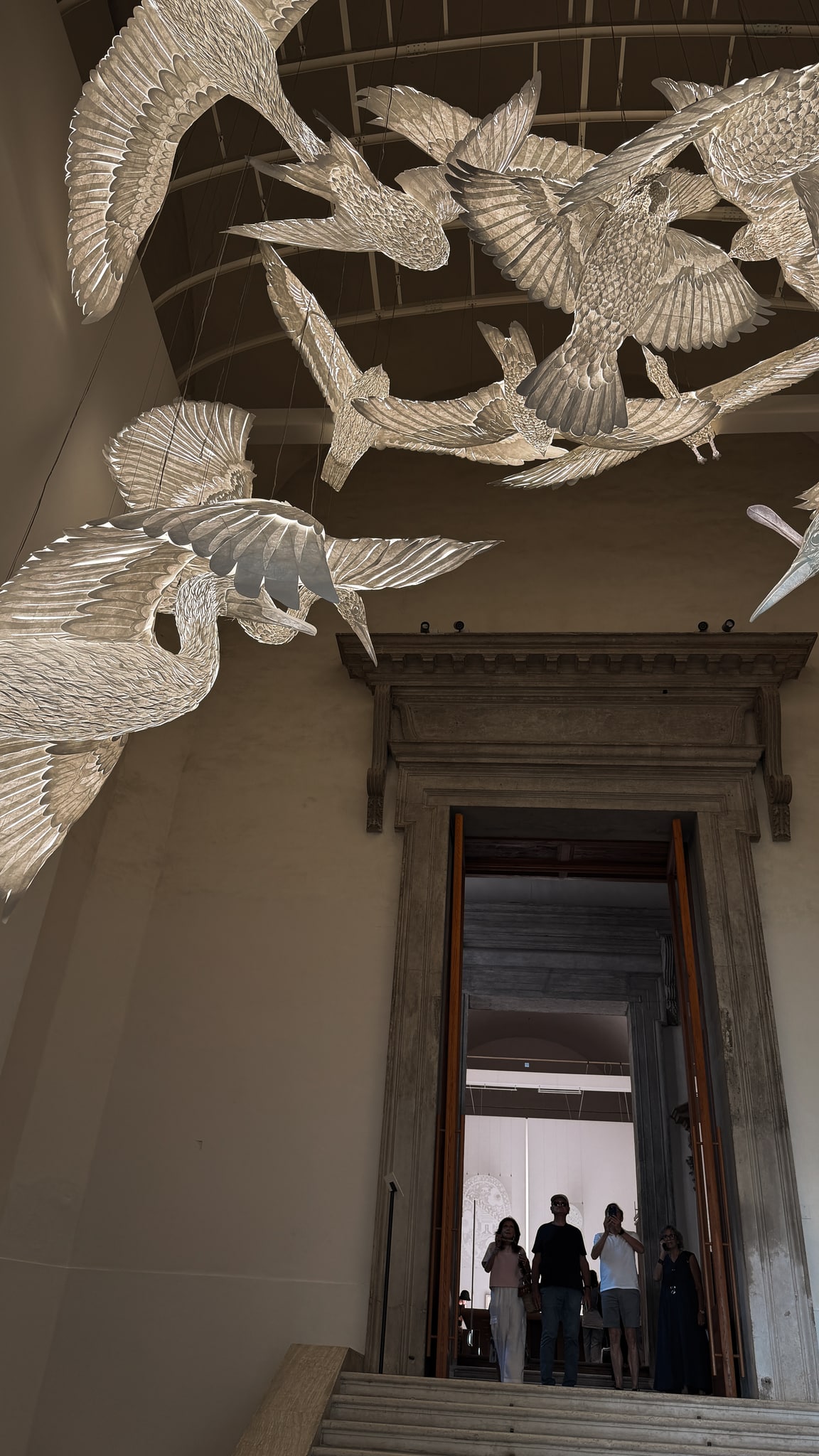 Aves de luz sobre la escalera.