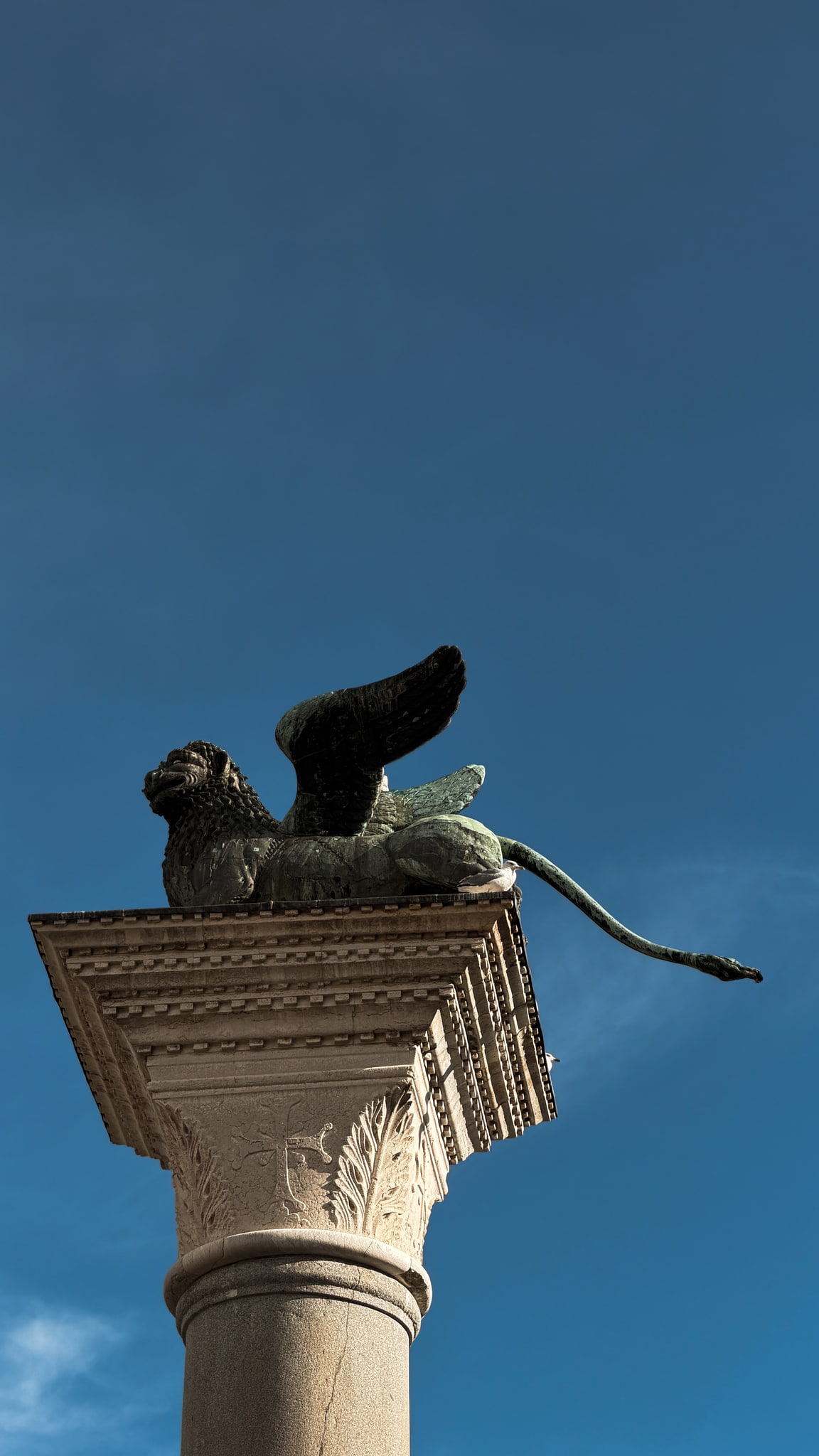 El león alado contra el cielo veneciano.