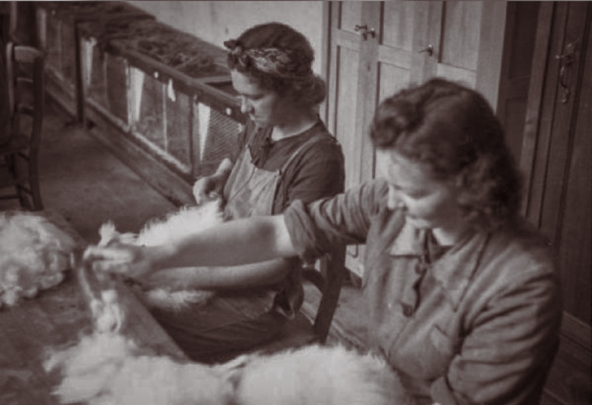 Two women working with Angora rabbits at a long table.